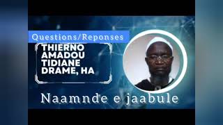 Naamnde e jaabule Thierno Amadou Tidiane Drame HA [upl. by Eidnam]