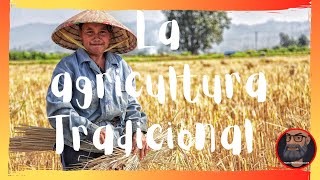 La AGRICULTURA TRADICIONAL 🧑‍🌾 y sus TIPOS [upl. by Argella370]