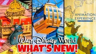 Top 10 New Attractions at Walt Disney World in 2019 Pt 2 [upl. by Cecelia]