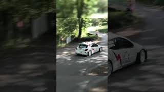 Eliott delecour en 207 s2000 😍😍 rallye rallyfury wrc rally [upl. by Notse]