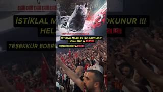 EN BÜYÜK BAŞARI BUDUR ❗️BİZ KAZANDIK🇹🇷 Türkiyehollanda maçTürklealmanyatürkmillitakımıtqkipçi [upl. by Lleda]