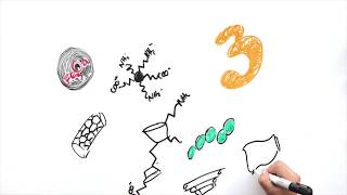 Nanotecnología Draw My Life [upl. by Gnivre]