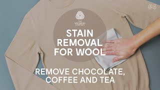 How to Remove Stains from Wool Clothes – Chocolate White Coffee and Tea [upl. by Celtic217]