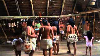 baile de la tribu boras iquitos [upl. by Neggem448]