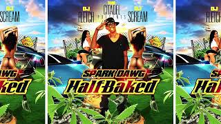 Spark Dawg DJ Fletch DJ Scream amp The Citadel  Half Baked Full Mixtape amp Download Link [upl. by Assanav]