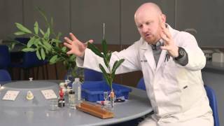 Transpiration the power of the potometer [upl. by Llovera]