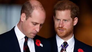 ⚓️part 2 PRINCES WILLIAM amp HARRY crossroad to DIVINE anchor princewilliam princeharry tarot [upl. by Hesoj]