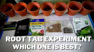 Aquarium Root Tab Experiment  Putting Root Tabs to the Test to Find the Best One [upl. by Kreit]