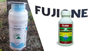 Fujione  isoprothiolane 40 EC Fungicide  Rallis India  TATA  Dose  Time of use [upl. by Nahtonoj]