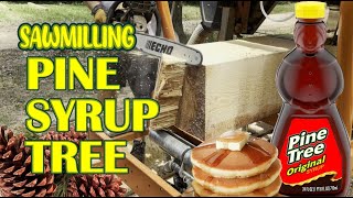 Sawmilling The Worlds Sappiest Pine [upl. by Ninos]