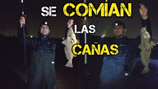 Sacamos una BOLSA DE PESCADO en un rato‼️ERA TIRAR Y SACAR CORVINAS Las ToscasUruguayCanelones [upl. by Moberg]