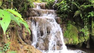 Sons da Natureza  Cachoeira Natural 1 hora  Para Relaxamento Meditação Dormir ou Estudar [upl. by Eenat]