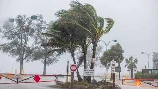 Blustery Wind  Sound Effect [upl. by Nico]