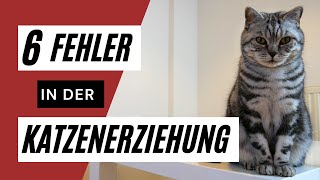 6 Fehler in der Katzenerziehung 🐈  diese Fehler solltest du vermeiden ⚠️ [upl. by Solram]