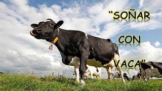 SOÑAR CON VACA O VACAS  SENTIDO DE LOS SUEÑOS [upl. by Arocal754]