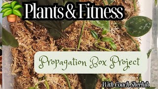 Propagation Box Project Part 1 [upl. by Ainitsirc166]