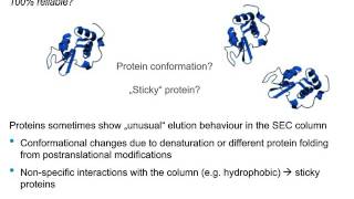 Size Exclusion Chromatography Strategies for the Characterization of Protein Biopharmaceuticals [upl. by Karim]