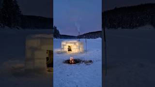 Making an ice hotel in wolfland 🐺❄ shorts igloo bushcraft survival [upl. by Aan]