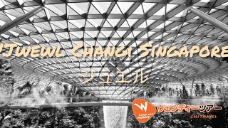 【シンガポール】すごいおすすめ、ジュエル シンガポールJewel Changi and Ciry tour [upl. by Debi203]