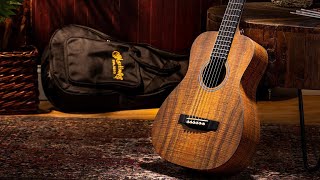 Top 5 Best Acoustic Electric Guitars Under 500 in 2023 [upl. by Adnilemreh]