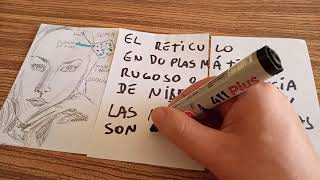 Sustancia de nissl retículo endoplasmático rugoso soma  comunicación neurotactil ley 24747 [upl. by Petigny]