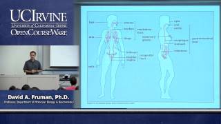 Biological Sciences M121 Immunology with Hematology Lecture 01 Course Introduction [upl. by Akisej]