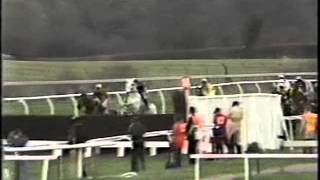 1990 Cheltenham Gold Cup Nortons Coin  Full race [upl. by Diarmit491]