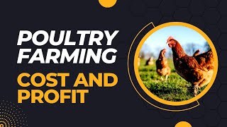 Poultry farming business in Nigeria cost and profit [upl. by Kimble45]