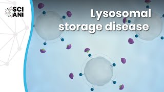 What are Lysosomal Storage Diseases [upl. by Zinn]