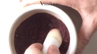 Making a pigment from cochineal [upl. by Atinej]