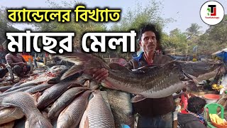 😲অবাক হলাম ব্যান্ডেলের মাছের মেলায় । Bandel Macher Mela 2023 । Adi Saptagram Fish Mela । Fish Fair [upl. by Yerok]