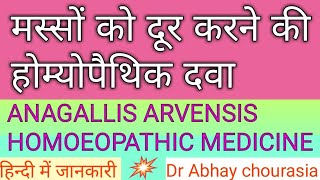 मस्सों की होम्योपैथिक दवा anagallis arvensis Homoeopathic medicine masse ki homeopathic dawa मस्सेध [upl. by Mosra]