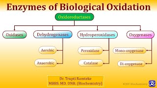 1 Enzymes of Biological Oxidation  Biological oxidation  Biochemistry  NJOY Biochemistry [upl. by Ahsitnauq]