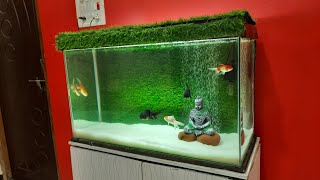 Goldfish Kingdom Aquarium Setup  Oranda and Ranchu Goldfish tank with Green Grass Background [upl. by Suhpesoj370]