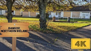 Life Behind the Boards A Glimpse into a Bangor Council Estate Northern Ireland [upl. by Drofkcor]