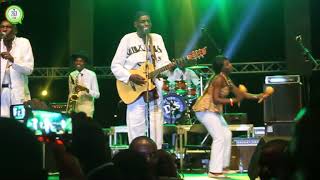 Mtukudzi performing at Mukanya Bira [upl. by Andriette]