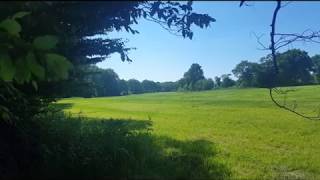 Naturgeräusche Wald und Wiese [upl. by Byers]