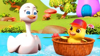 Five Little Ducks  Five Little Monkeys  Nursery Rhymes  Baby Songs  Kids Songs from Jugnu Kids [upl. by Bronson]