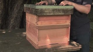 How to Make your Own Beehive [upl. by Liborio]