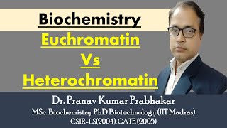 Euchromatin and Heterochromatin [upl. by Burnaby]