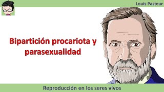 Reproducción celular en procariotas Bipartición procariota y parasexualidad [upl. by Trevorr]