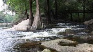 Suwannee River State Park [upl. by Yatnoj927]