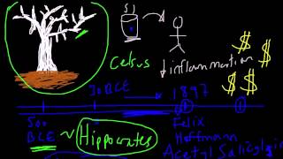 NSAID Pharmacology An Introduction [upl. by Orms664]