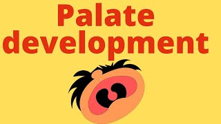 Palate development embryology  cleft palate  Defect in palate  Human embryology [upl. by Heti846]