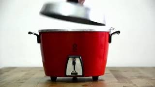 Tatung Rice Cooker  How to cook perfect rice easily and quickly [upl. by Etty]