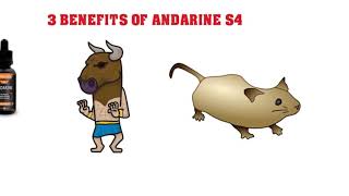 Andarine S4 Sarms Review Benefits Dangers amp Side effects [upl. by Roberson41]