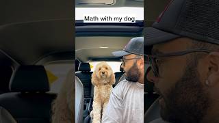 Mini Cockapoo Thinks Before Answering Square Root Questions 😳 [upl. by Kayne441]