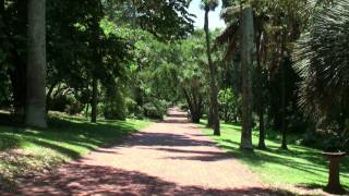 The Durban Botanic Gardens South Africa [upl. by Adel]