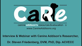 Canine Addisons Pathophysiology amp Genetics  CARE Interview with Dr Steven Friedenberg  9182021 [upl. by Ecirtnas866]