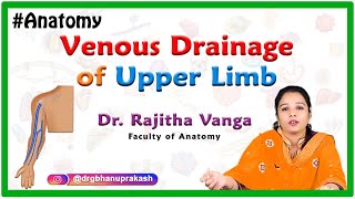 Venous Drainage of the Upper Limb [upl. by Kappenne]